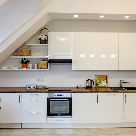 Butas City - Didzioji Street Attic Loft