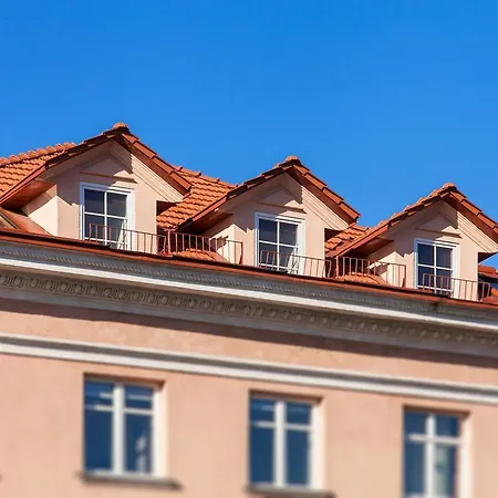 City - Didzioji Street Attic Loft * Vilnius