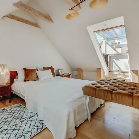 City - Didzioji Street Attic Loft * Vilnius