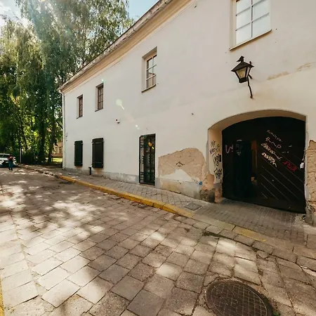 City - Didzioji Street Attic Loft Vilnius