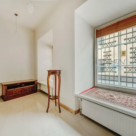 City - Didzioji Street Attic Loft * Vilnius