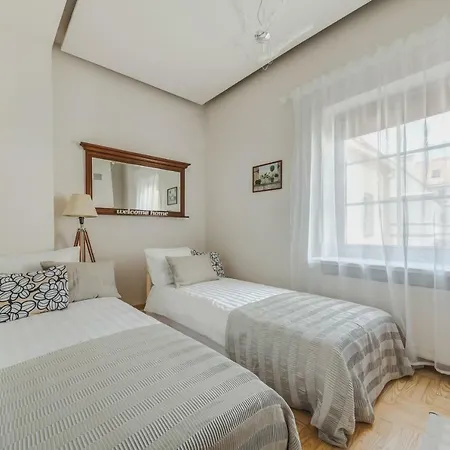City - Didzioji Street Attic Loft