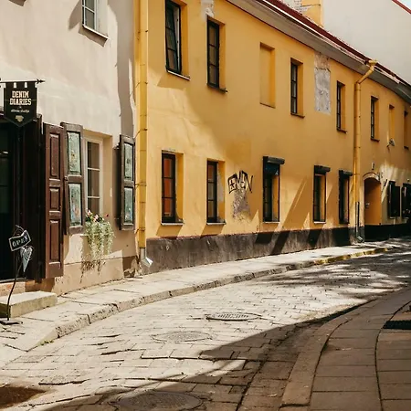 Butas City - Didzioji Street Attic Loft *
