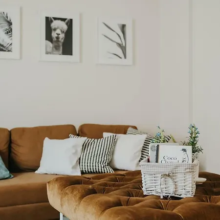 City - Didzioji Street Attic Loft * Vilnius