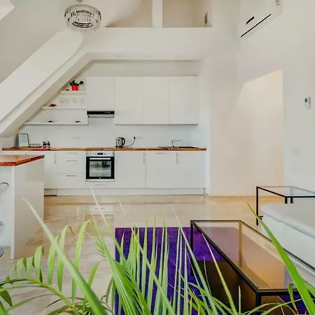 City - Didzioji Street Attic Loft *