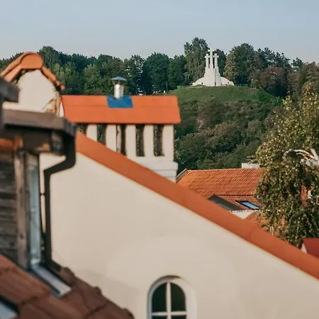 City - Didzioji Street Attic Loft * Vilnius